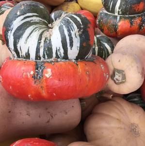 Meet your Posher, Stacy